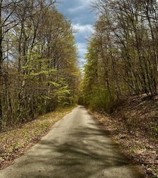 Bükk