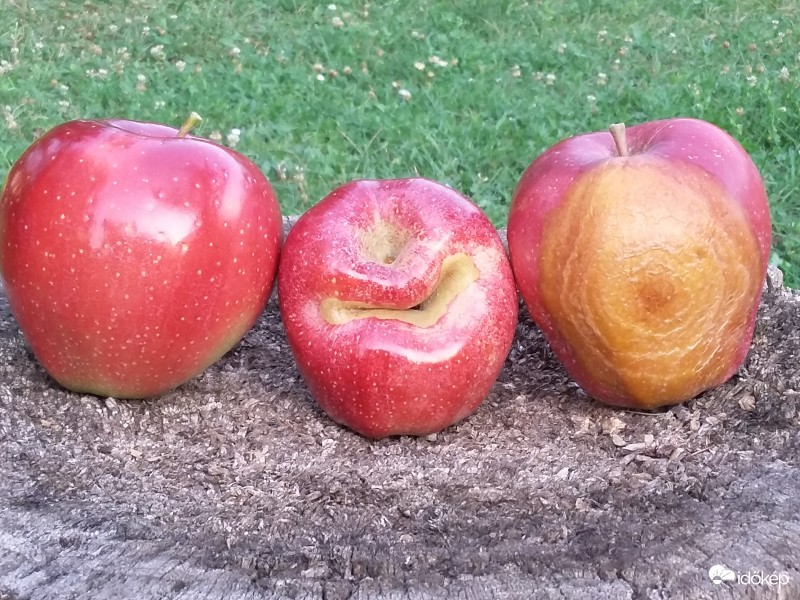 A jó, a rossz és a csúf