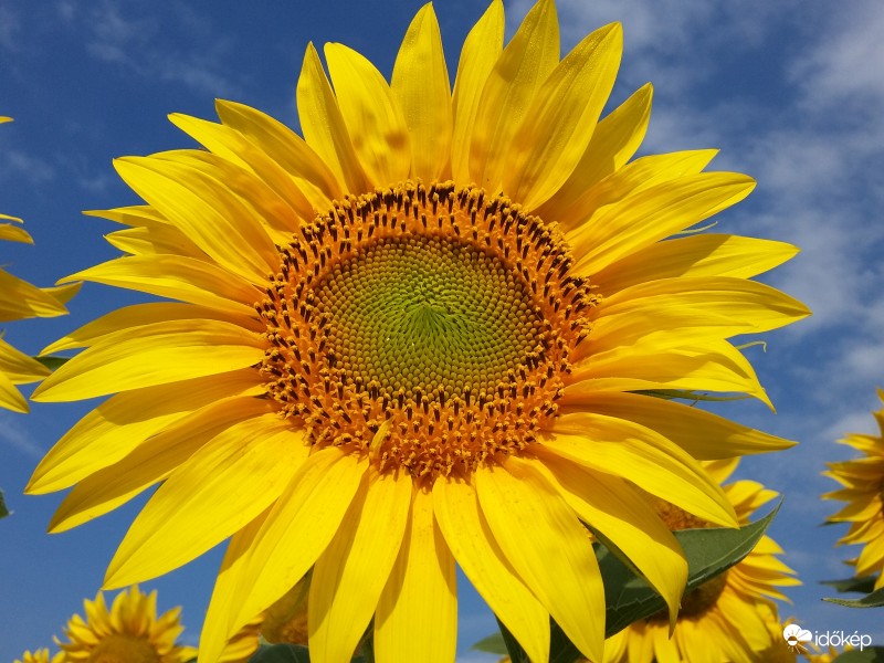 A Napra lehet nézni...