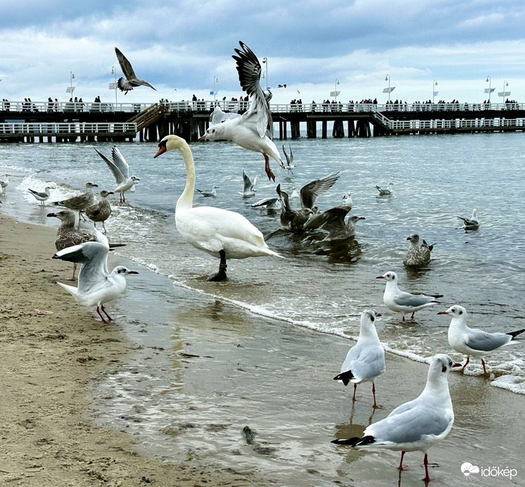 Sopot