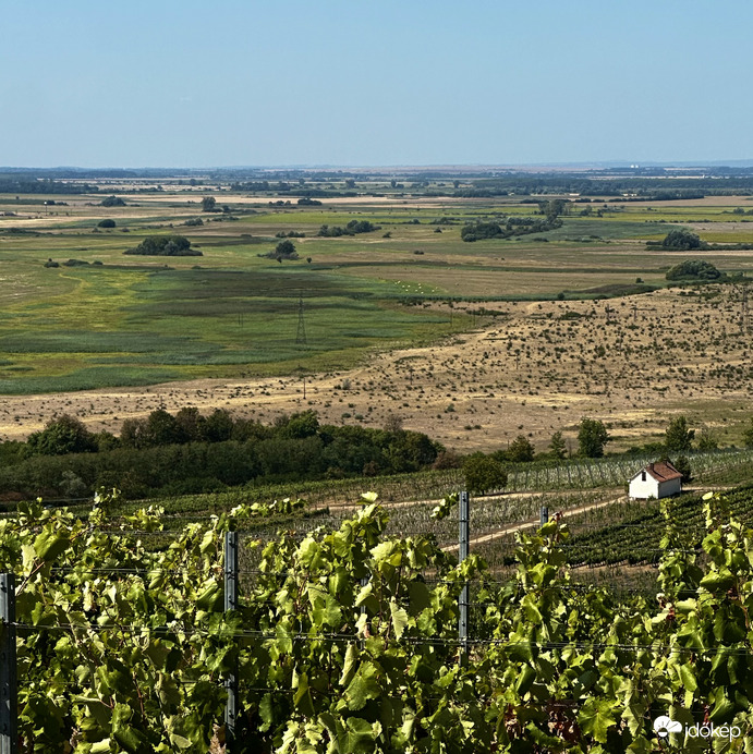 Tokaji borvidék