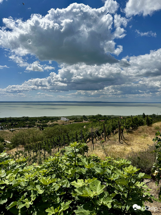 Badacsonyi kilátás