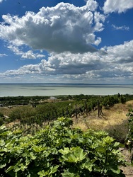 Badacsonyi kilátás