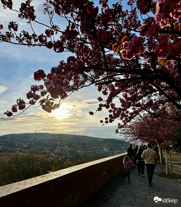 Tóth Árpád sétány