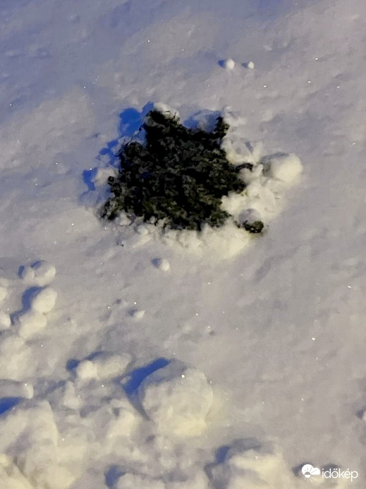 A vakond mínusz 7 fokban sem pihen.