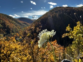 Ördögszem Lillafüreden
