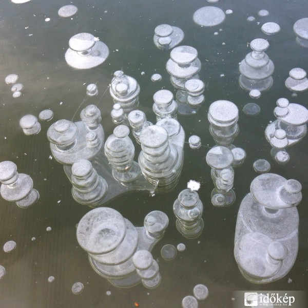 Elvarázsolt dollár