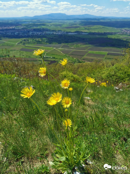 Eger és a Mátra a háttérben