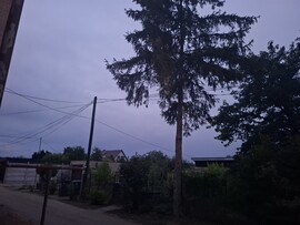 Bátorkeszi