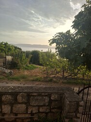 Ravni