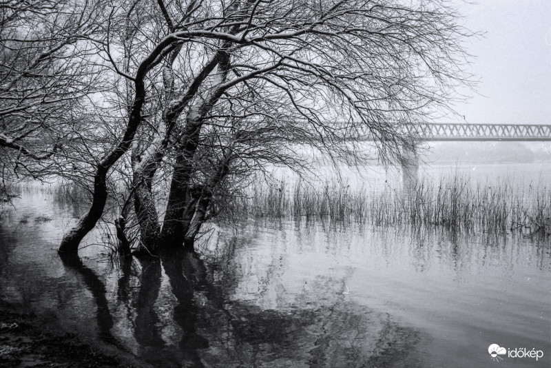 Ilford FP4 Plus 125 negatív filmre