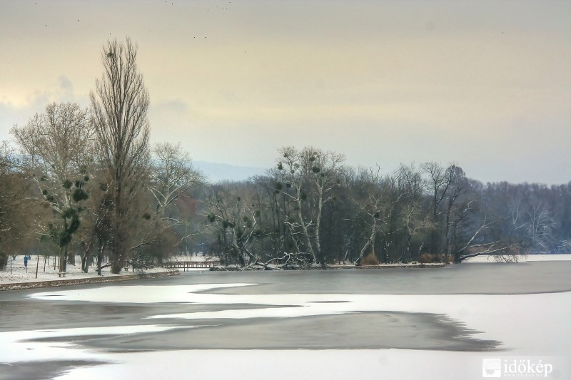 2016.01.02. Tata,Cseke-tó