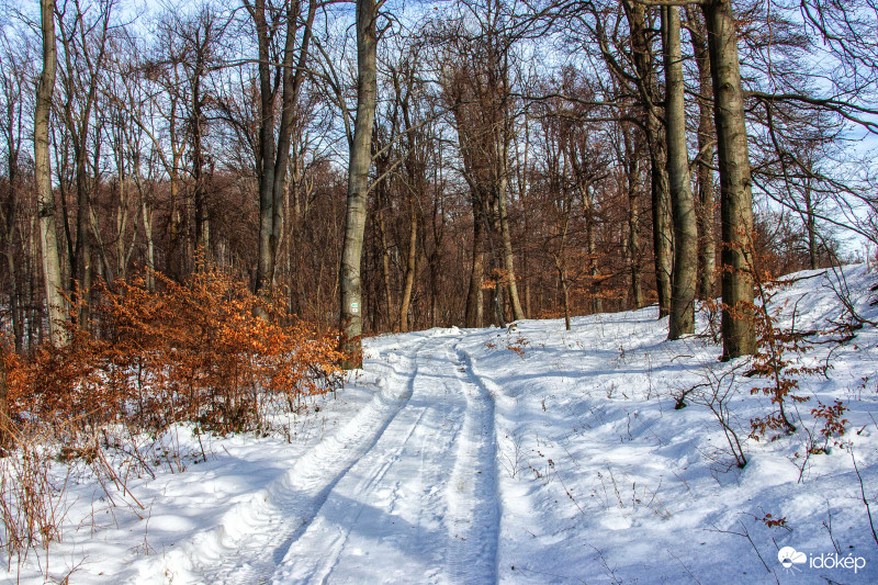 Pilis-hegység-2019.01.19.