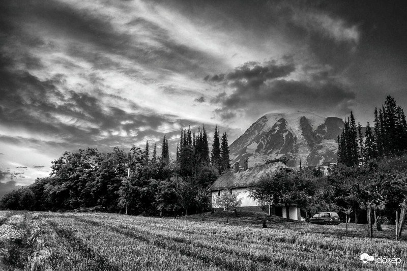Két képből szerkesztve-CC 2015-Silver Efex Pro