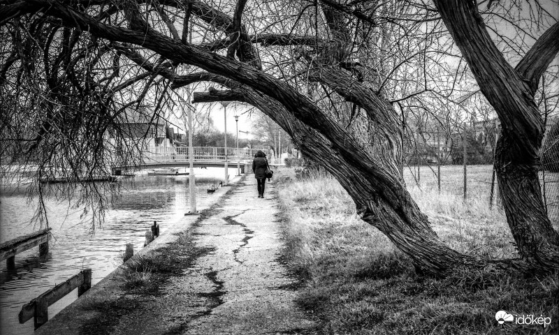 Agárd-Ilfor FP4 Plus 125 negativ filmre fotózva
