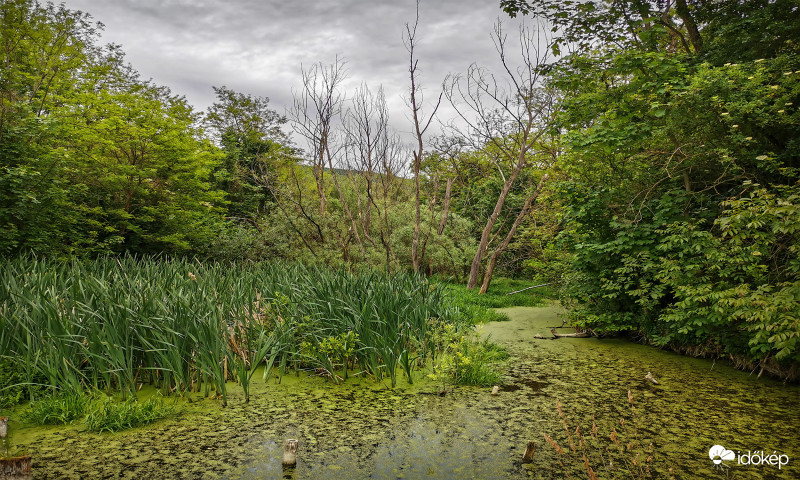 Kesztölc