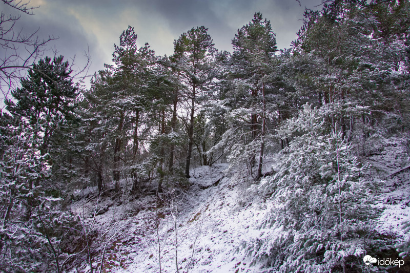 Pilis-hegység,2017.12.29.