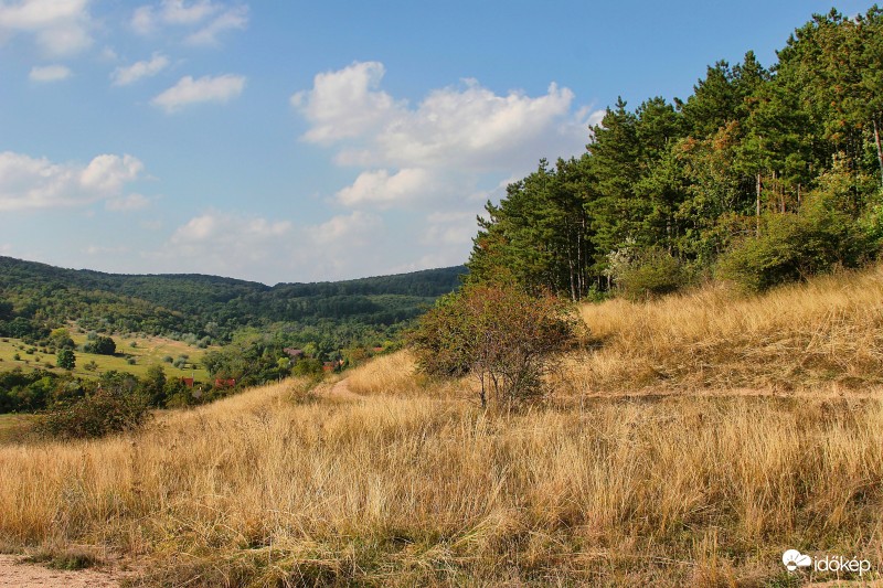 2016.10.01. Velencei-hegység,Nadap