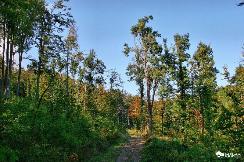 2016.10.08. Pilis-hegység