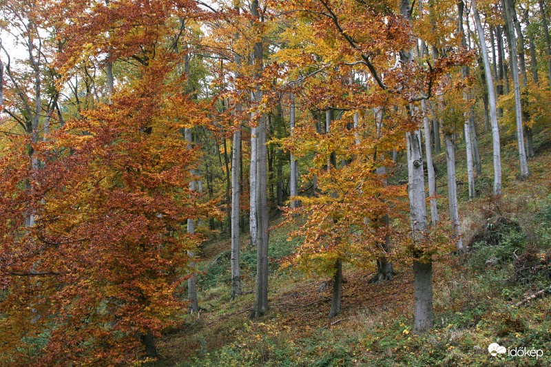 2016.10.30. Pilis-hegység