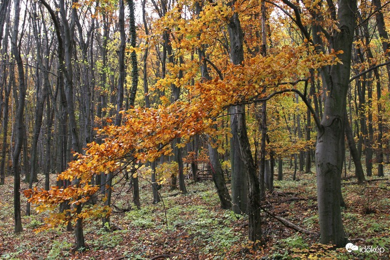 2016.10.30. Pilis-hegység