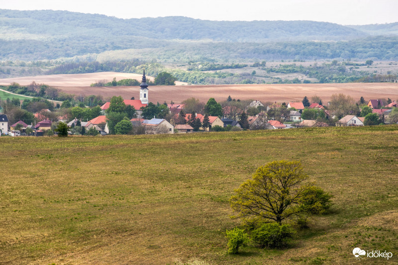 Szár