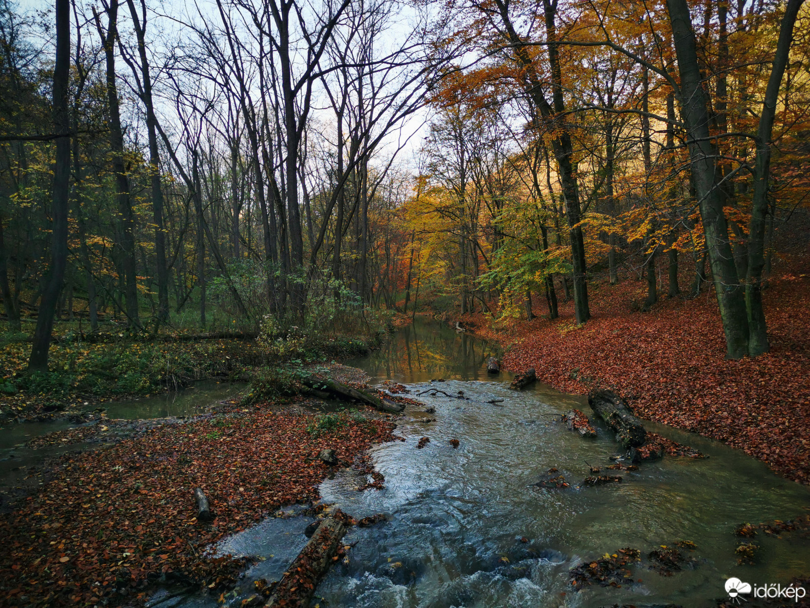 Gaja-szurdok