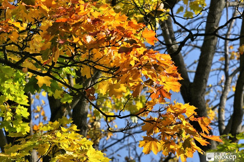 2015.10.30.