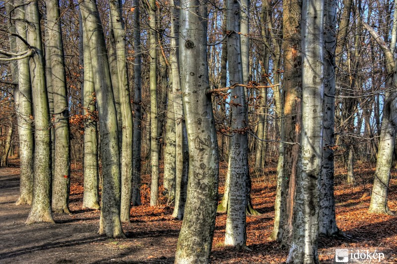 2015.12.26. HDR Photomatix Pro 5.0