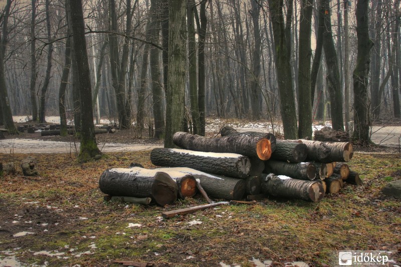 2016.02.14. Dobogókő