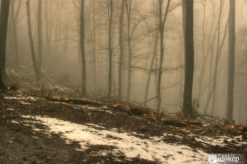 2016.02.14. Pilis-hegység