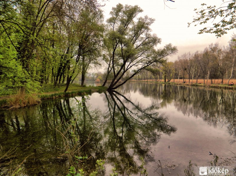 2014.04.02. Vác,Liget-tó