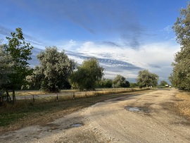 Agárd