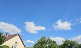 Kecskemét 