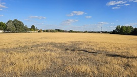Aszály