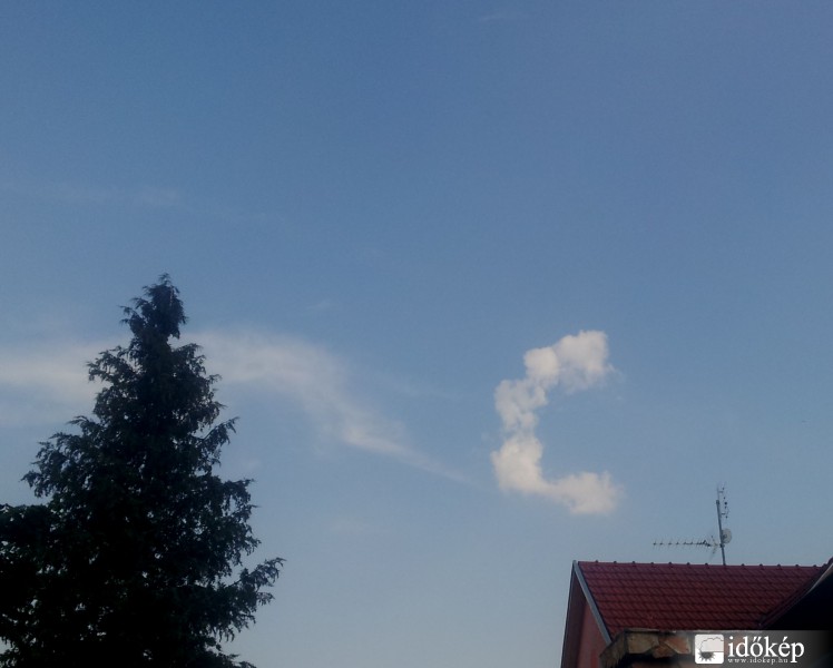 C-betű