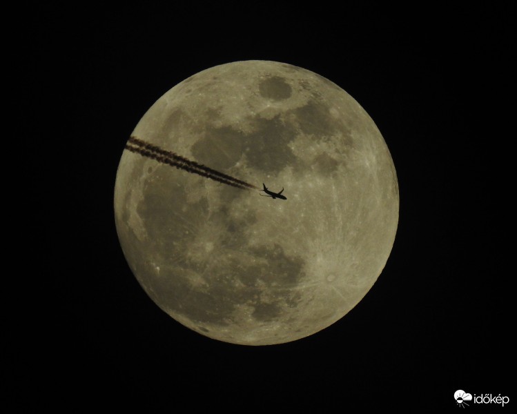 Pegasus Airlines
