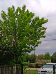 Nagykarácsony