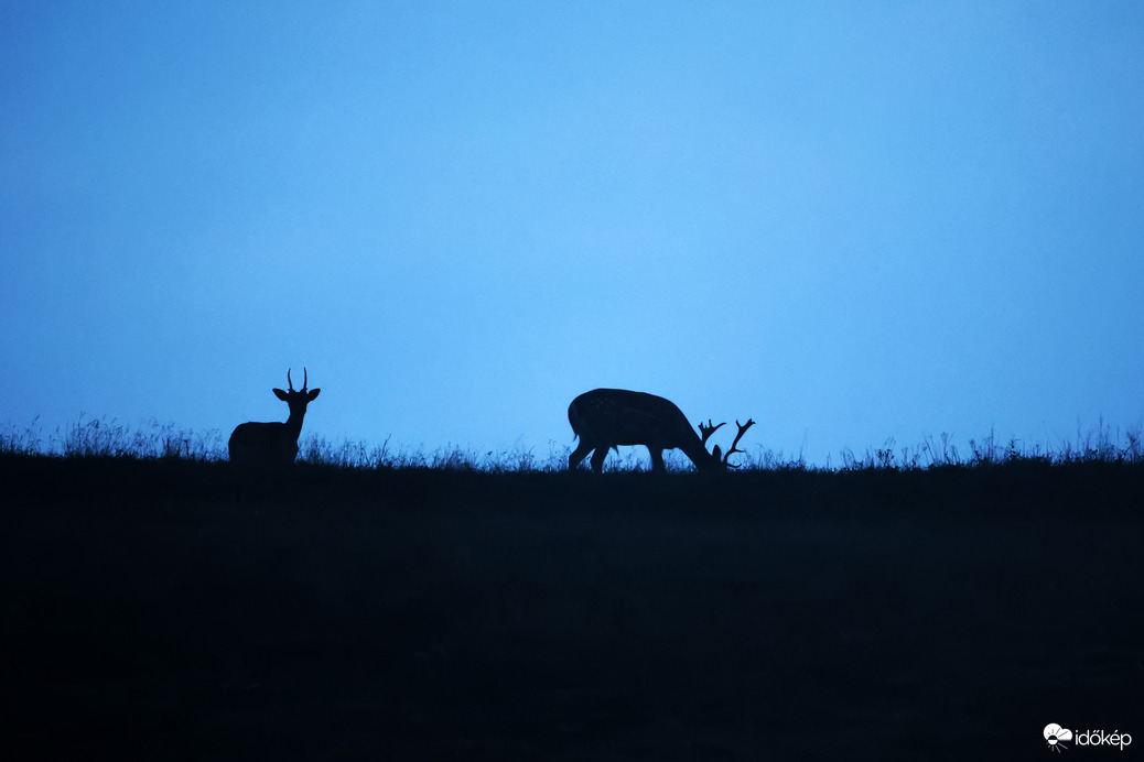 Hajnalban a gerincen 