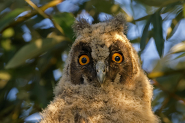 Jól látok? Süt a nap?? 