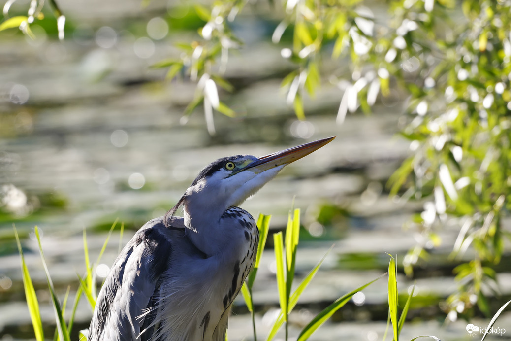 Ma is szépen süt a nap :) 
