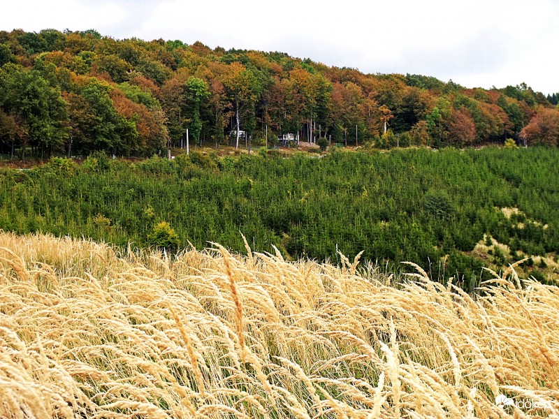 Színesedik a természet