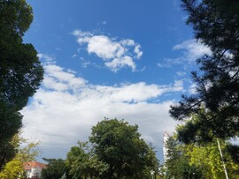 Mezőtúr