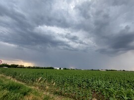 Mezőtúr