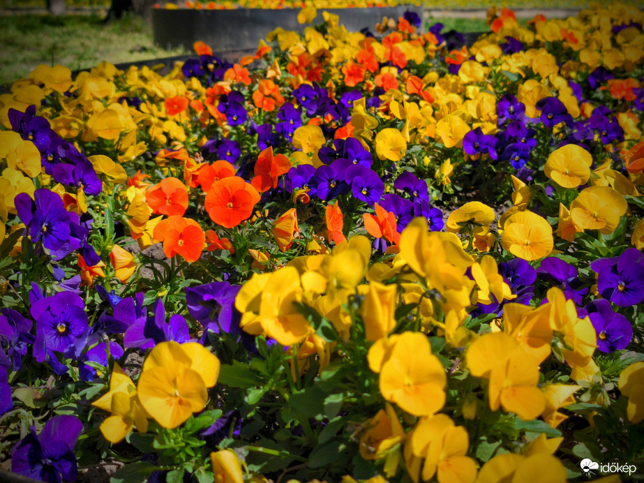 Mindent a szemnek és semmit a kéznek