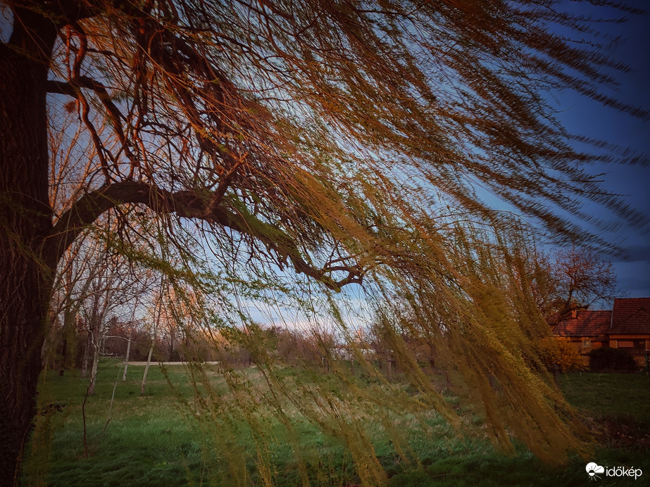 Tánc a viharos szélben