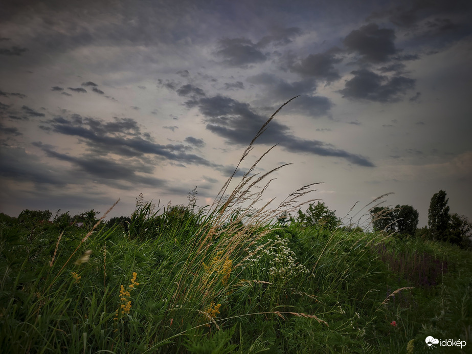 Variációk szélviharra