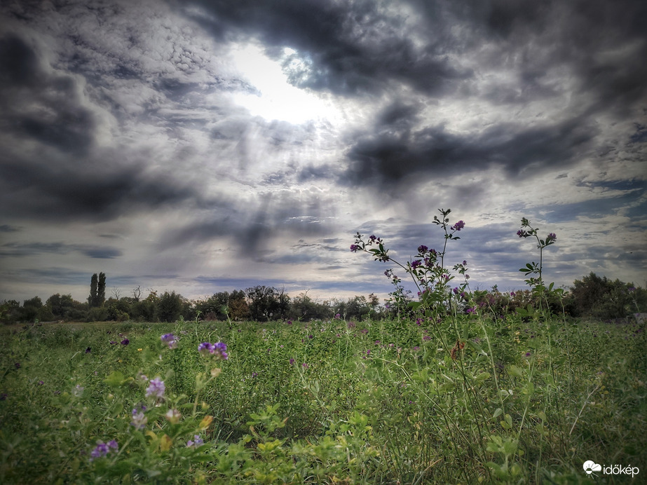Hideg őszi szél járja be a tájat