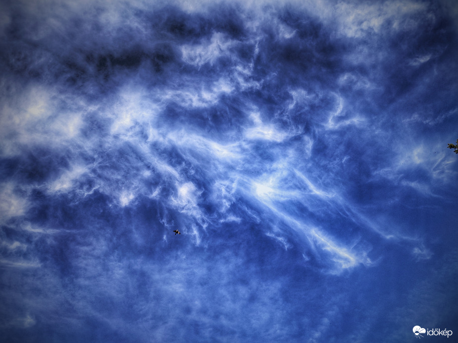 Délutáni jeges ecsetvonások