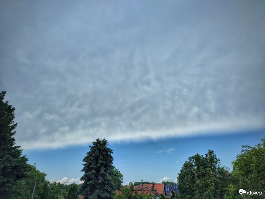 Szupercella futószalagos mammás üllője